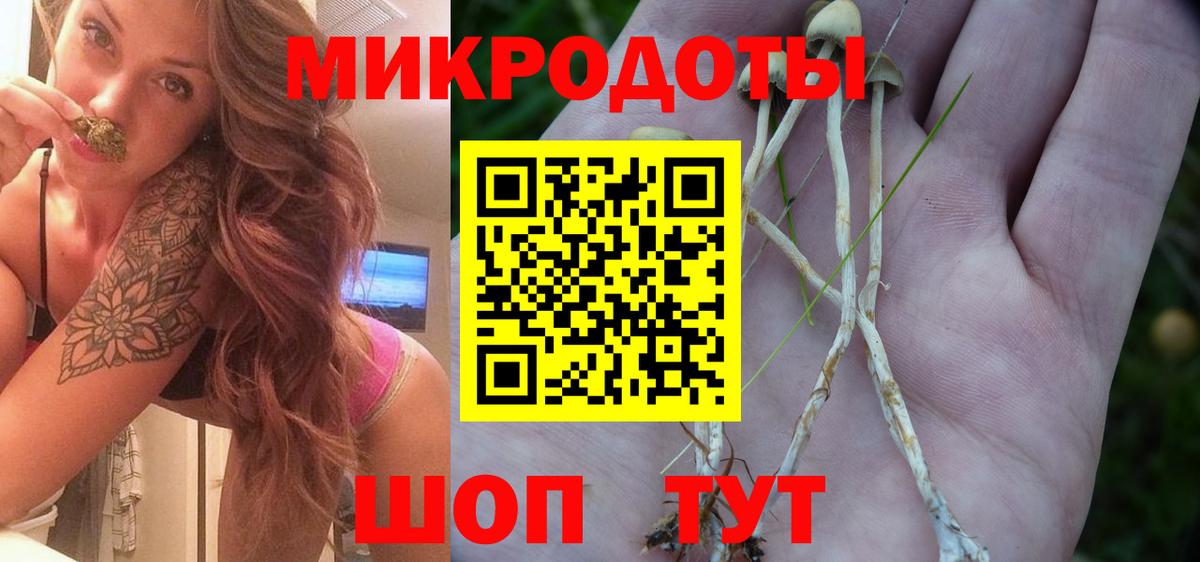 Клин  Галлюциногенные грибы мухоморы  Галлюциногенные грибы Magic Shrooms  Вход с VPN 
