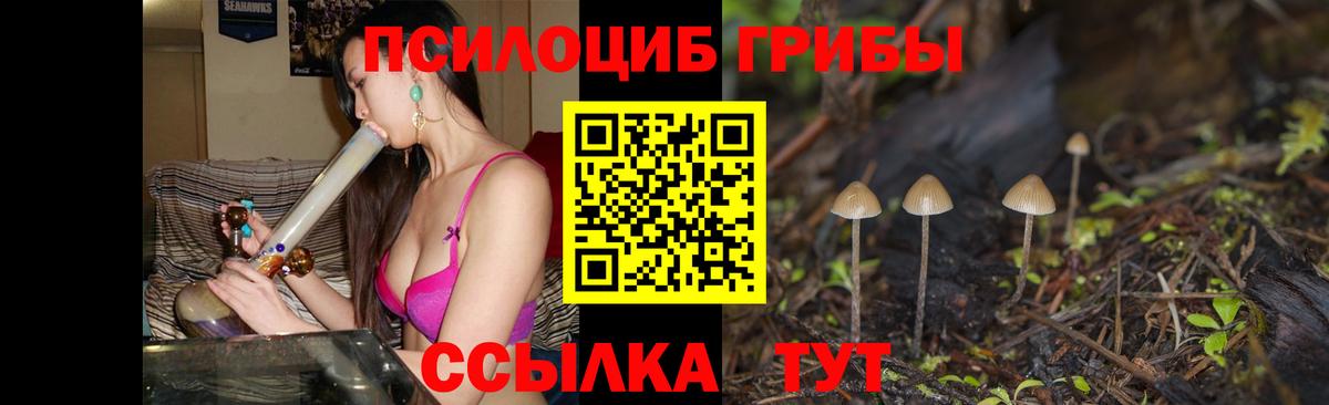 Галлюциногенные грибы GOLDEN TEACHER Клин